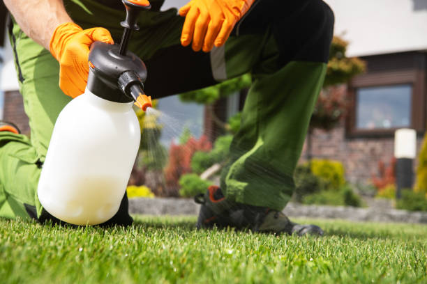 Best Residential Pest Control  in Carlin, NV
