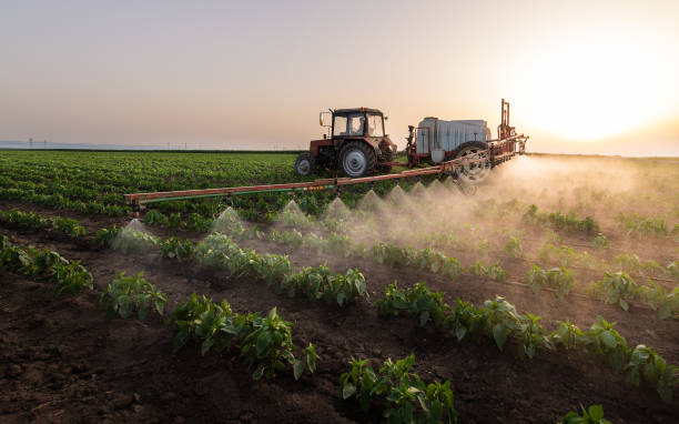 Best Pest Control for Businesses  in Carlin, NV