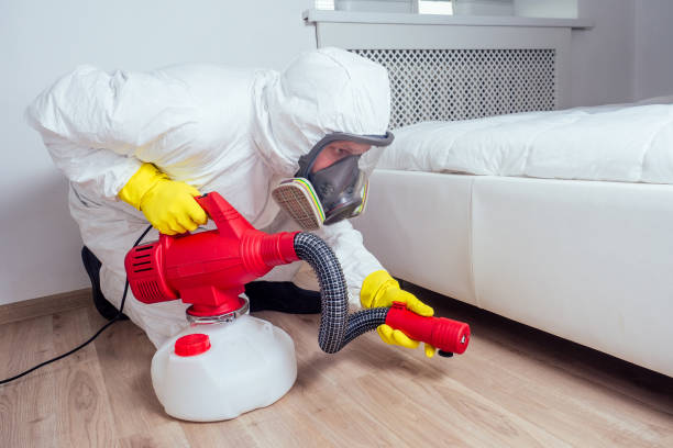 Best Affordable Pest Control Services  in Carlin, NV