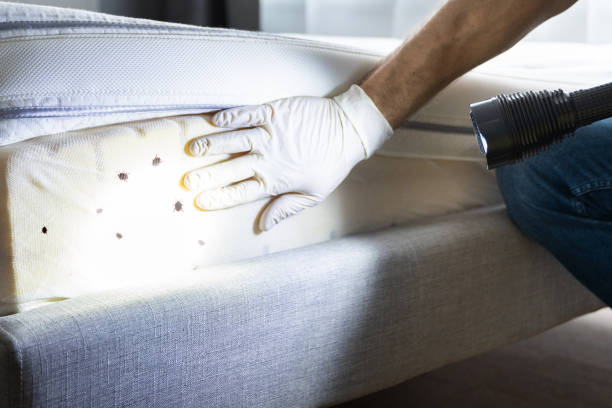 Best Pest Prevention Services  in Carlin, NV