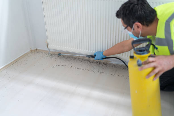 Best Pest Removal Services  in Carlin, NV